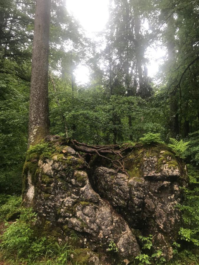 Ferienwohnung Morgentau Am Rande Der Wildnis Sibratsgfall Bagian luar foto