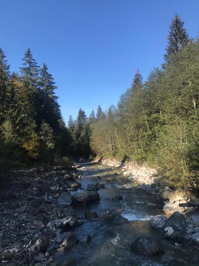 Ferienwohnung Morgentau Am Rande Der Wildnis Sibratsgfall Bagian luar foto